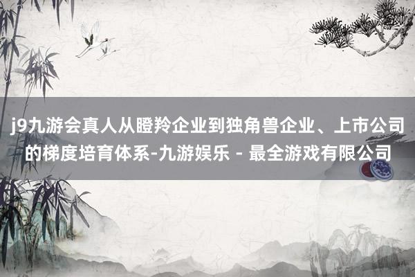 j9九游会真人从瞪羚企业到独角兽企业、上市公司的梯度培育体系-九游娱乐 - 最全游戏有限公司